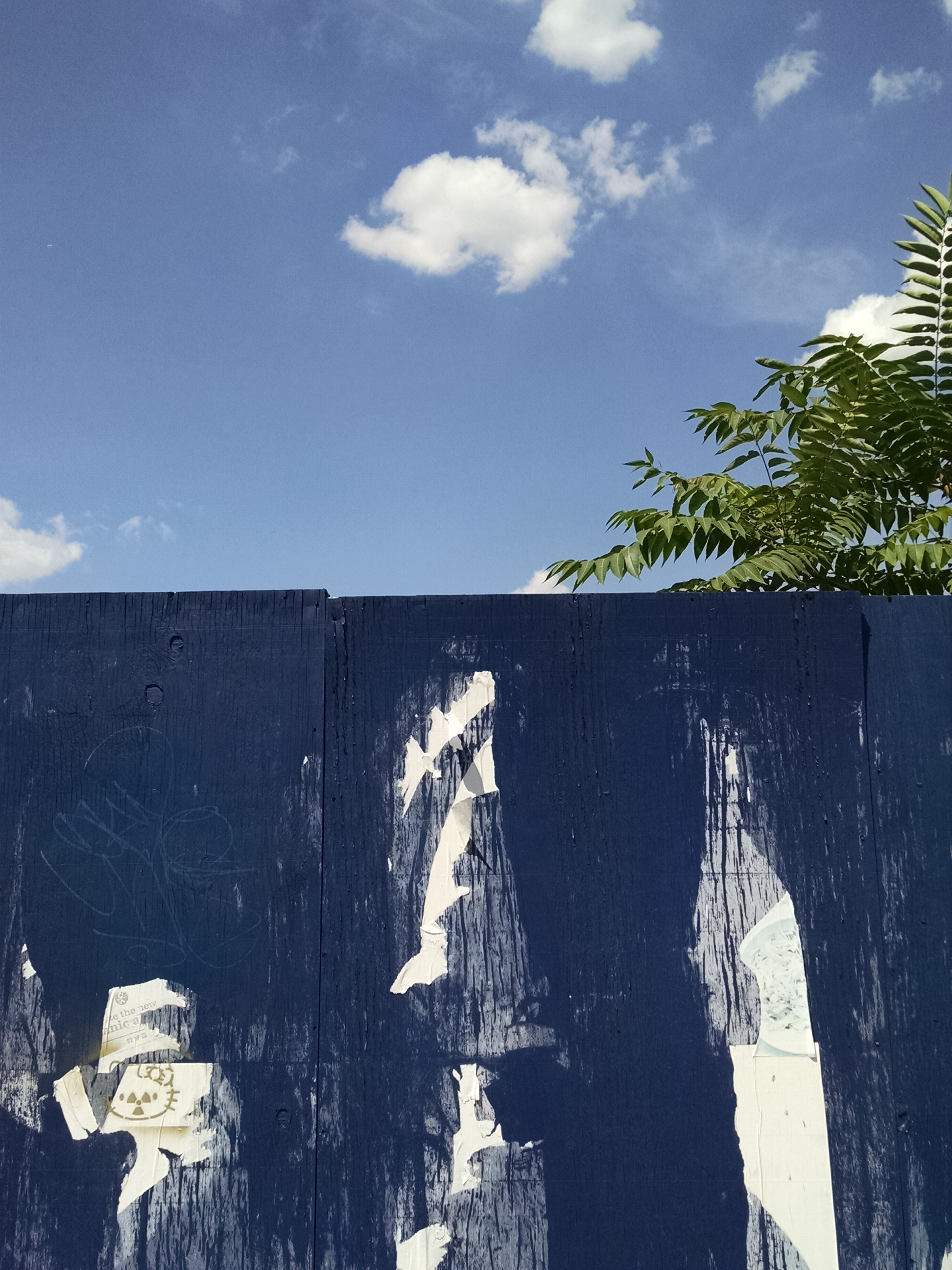 Cover image of sky above a blue fence